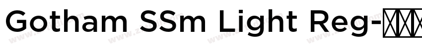 Gotham SSm Light Reg字体转换